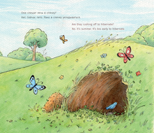 Куда торопятся мишки? Where are the bears rushing off to?