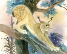 Animal Kaleidoscope. Звериный калейдоскоп