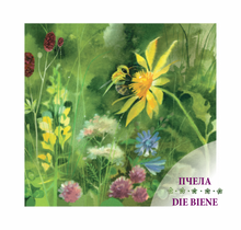 Давай знакомиться. Lass uns kennenlernen